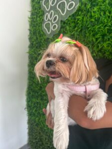 WhatsApp Image 2025-05-19 at 17.47.09 (1)