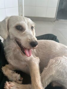 WhatsApp Image 2025-05-19 at 17.47.09 (2)