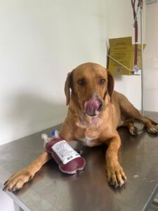 WhatsApp Image 2025-05-19 at 17.47.09 (3)