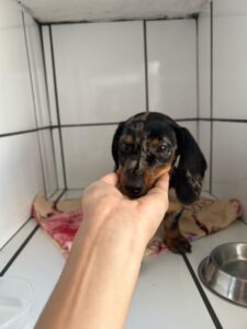 WhatsApp Image 2025-05-19 at 17.47.10 (1)