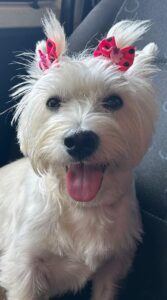 WhatsApp Image 2025-05-19 at 17.47.10 (4)