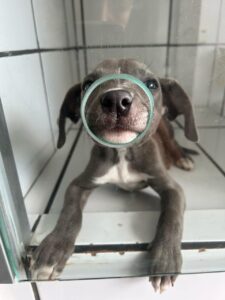 WhatsApp Image 2025-05-19 at 17.47.11 (2)