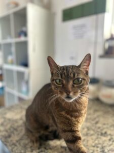 WhatsApp Image 2025-05-19 at 17.47.11 (3)