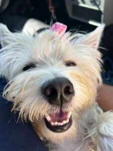 WhatsApp Image 2025-05-19 at 17.47.12 (1)