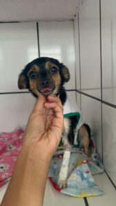 WhatsApp Image 2025-05-19 at 17.47.12 (2)