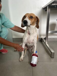 WhatsApp Image 2025-05-19 at 17.47.12