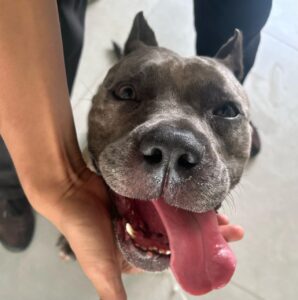 WhatsApp Image 2025-05-19 at 17.47.12 (3)