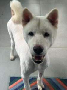 WhatsApp Image 2025-05-19 at 17.47.13 (2)