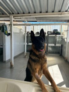 WhatsApp Image 2025-05-19 at 17.47.13