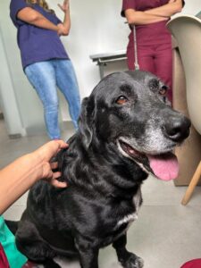 WhatsApp Image 2025-05-19 at 17.47.14 (1)